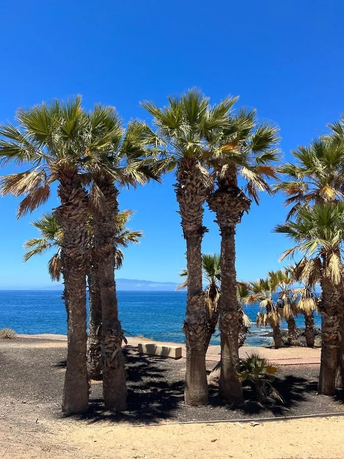 Gran Relax Alcala Appartement location